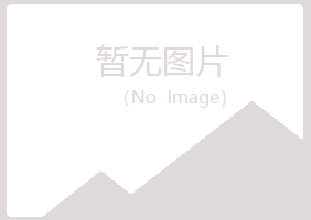 平陆县清新金融有限公司